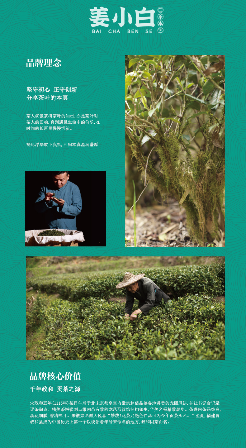 姜小白山韵山花?2020年贡眉